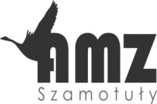 logo amz www